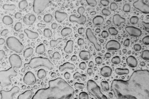 Bacteria Microscope Water Droplets