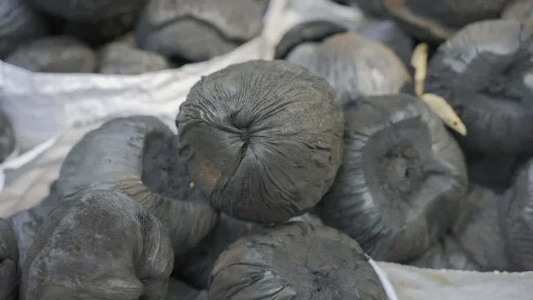Charcoal Bags Logistics Delivery