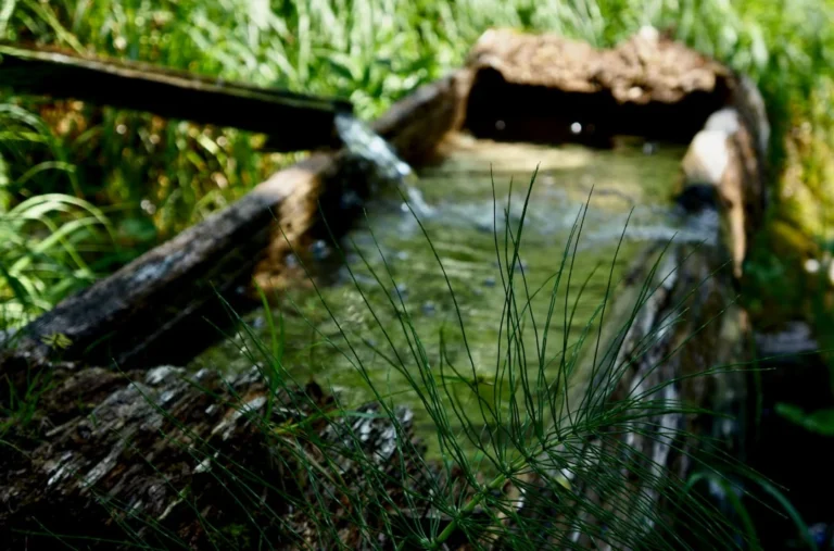 Clean Water Energy Efficiency