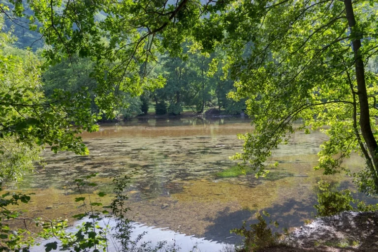 Clean Water Nature Environment