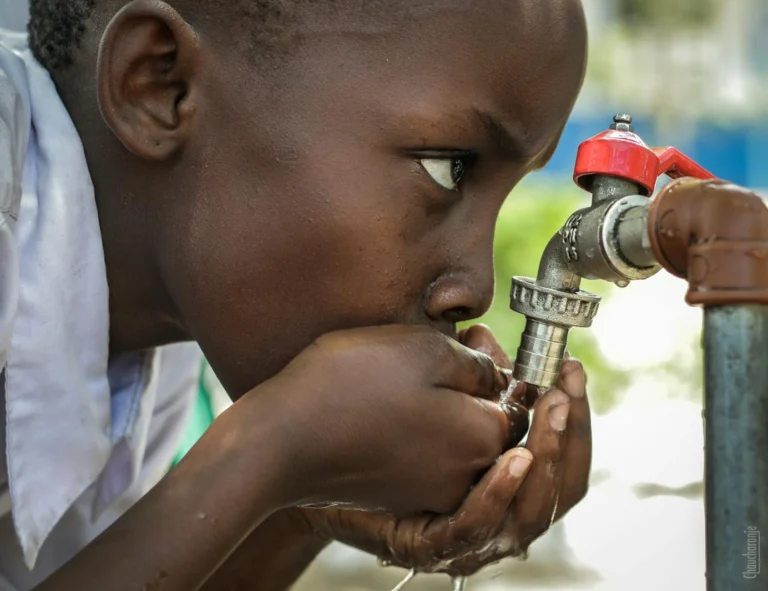 Clean Water Water Filter