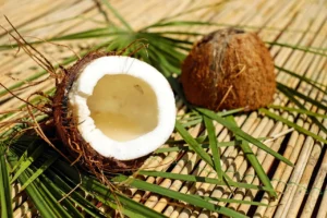 Coconut Shell Coal Carbon