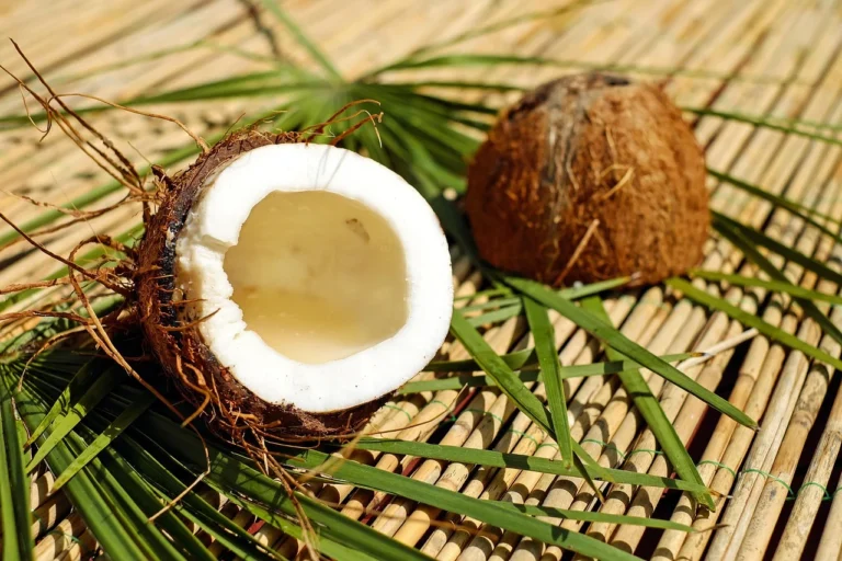 Coconut Shell Coal Carbon