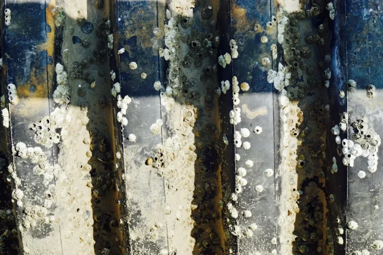 Damaged Membrane Dirty Filter