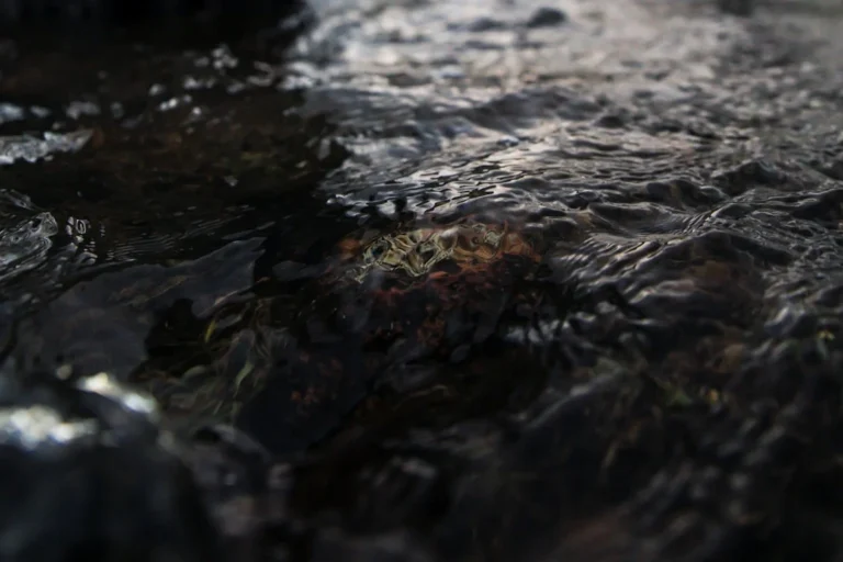 Dirty Water Rust