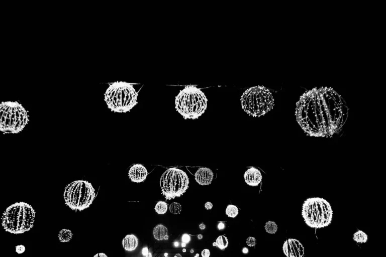 DNA Molecule Bacteria Cells