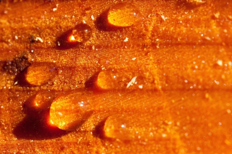 Ion Exchange Resin EDI Module