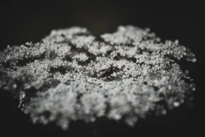 Memahami Peran Vital Tangki Demin Dalam Ekosistem Industri