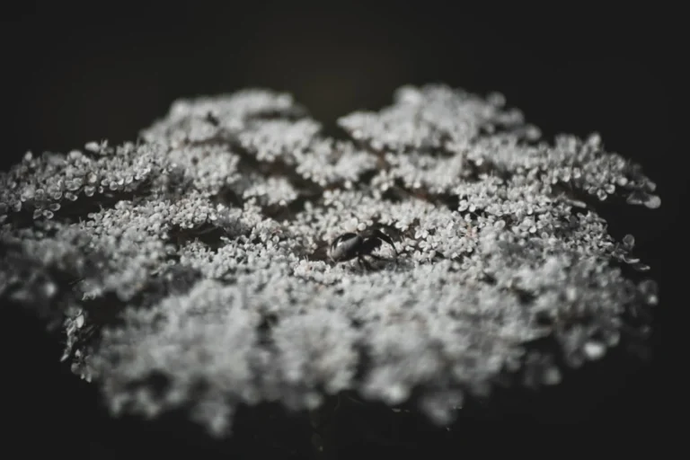 Memahami Peran Vital Tangki Demin Dalam Ekosistem Industri