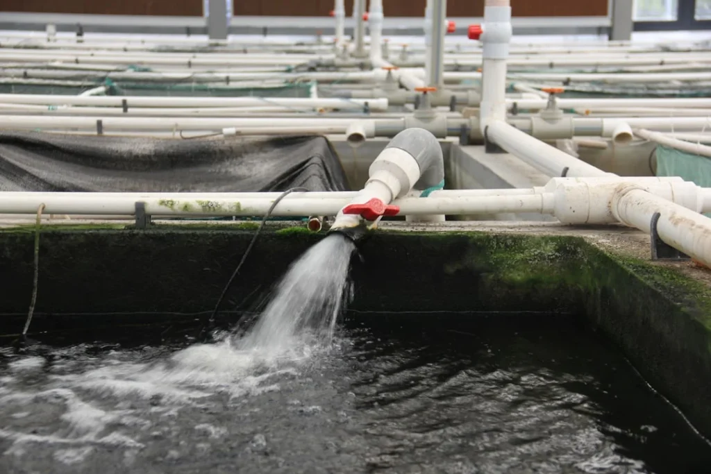 Mengapa Peralatan Water Treatment Plant Berkualitas Adalah Harga Mati?