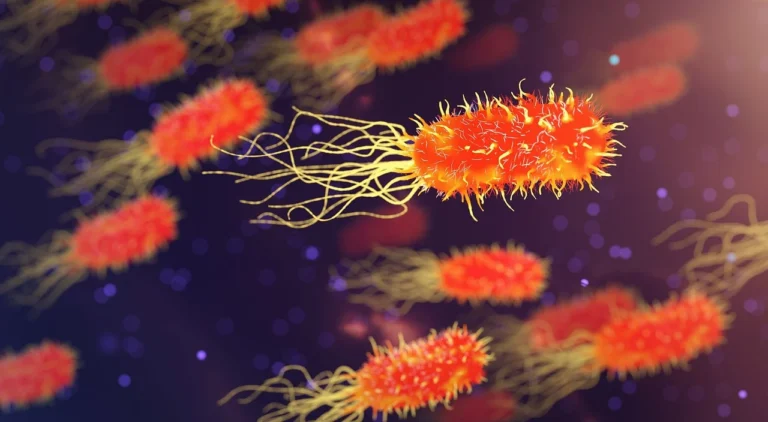 Microscope Bacteria Mineral Crystals