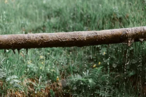 Muddy Water Rusty Pipe