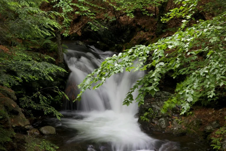 Paper Mill Water Stream
