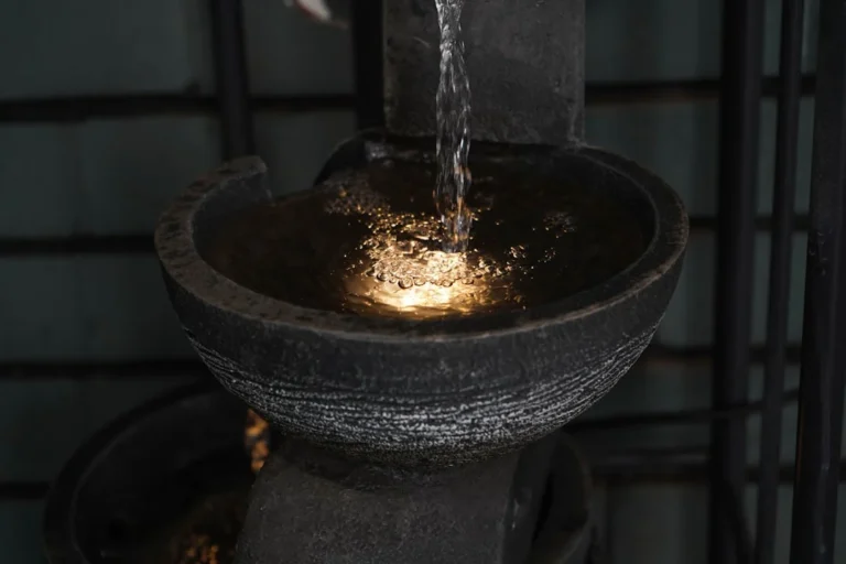 Professional Technician Water Purification