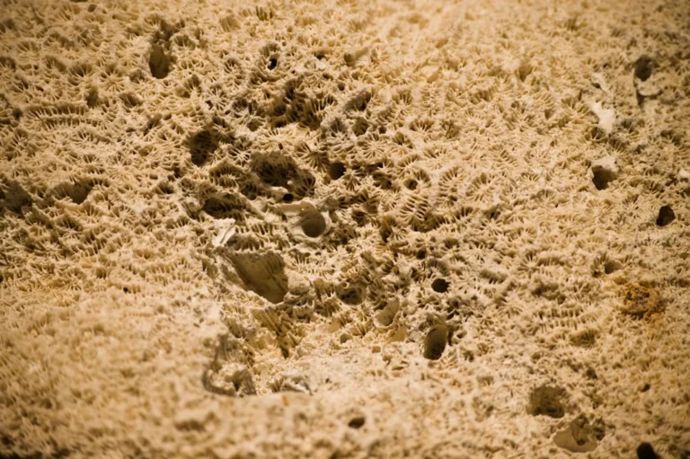 Sand Activated Carbon