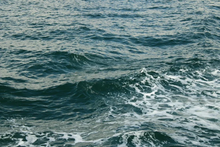 Seawater Membrane Water Filter