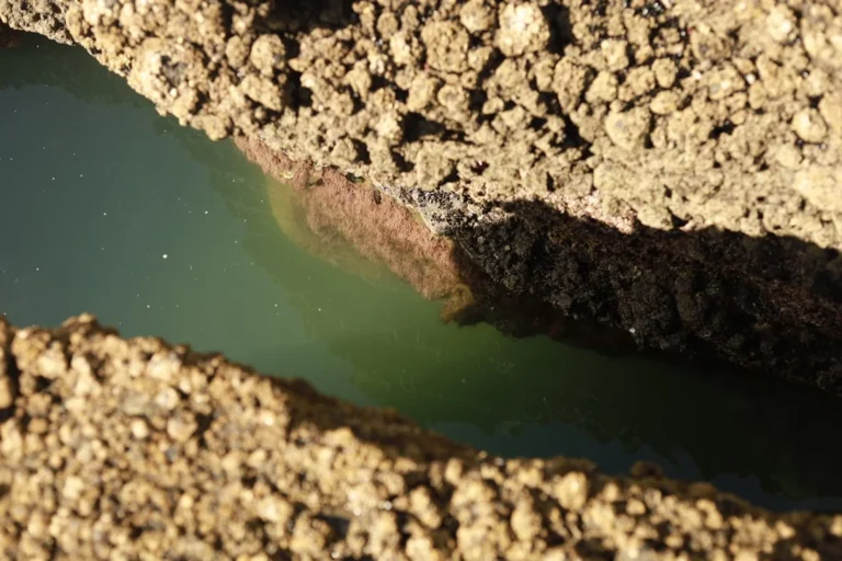 Sediment Filter Dirty Water