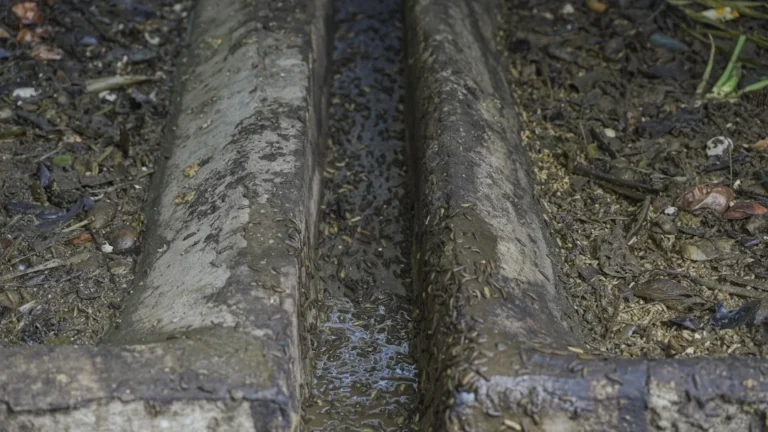 Sediment Filter Plumbing Tools