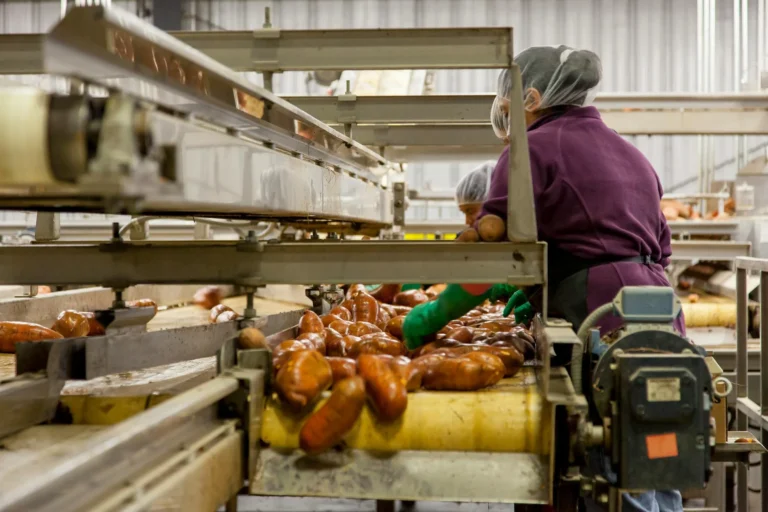 Wastewater Food Processing Industrial Plant
