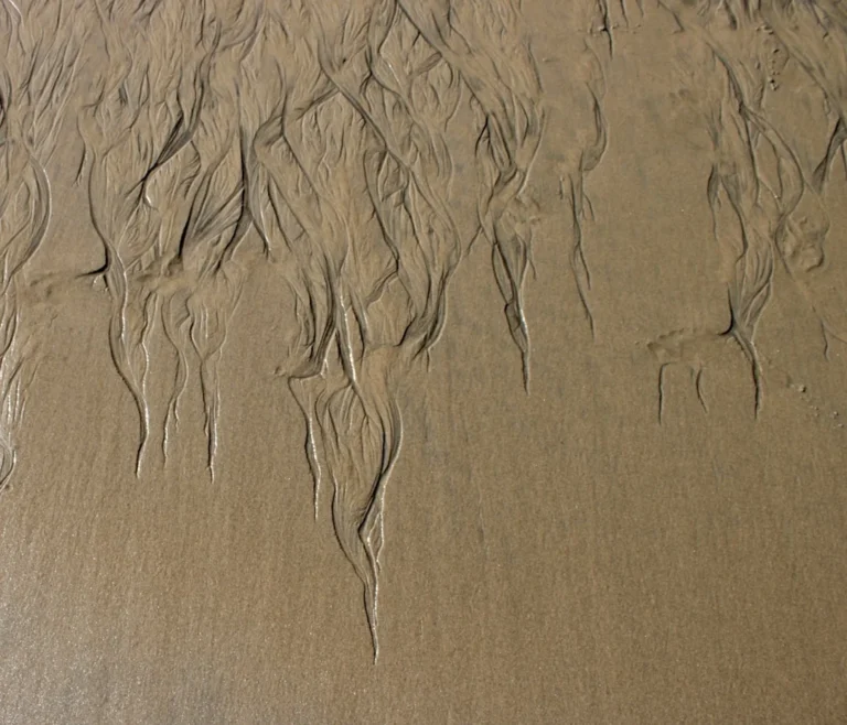 Water Filter Sand Texture