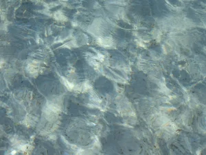 Water Purification System Pure Water